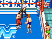 WWF Superstars Game Online
